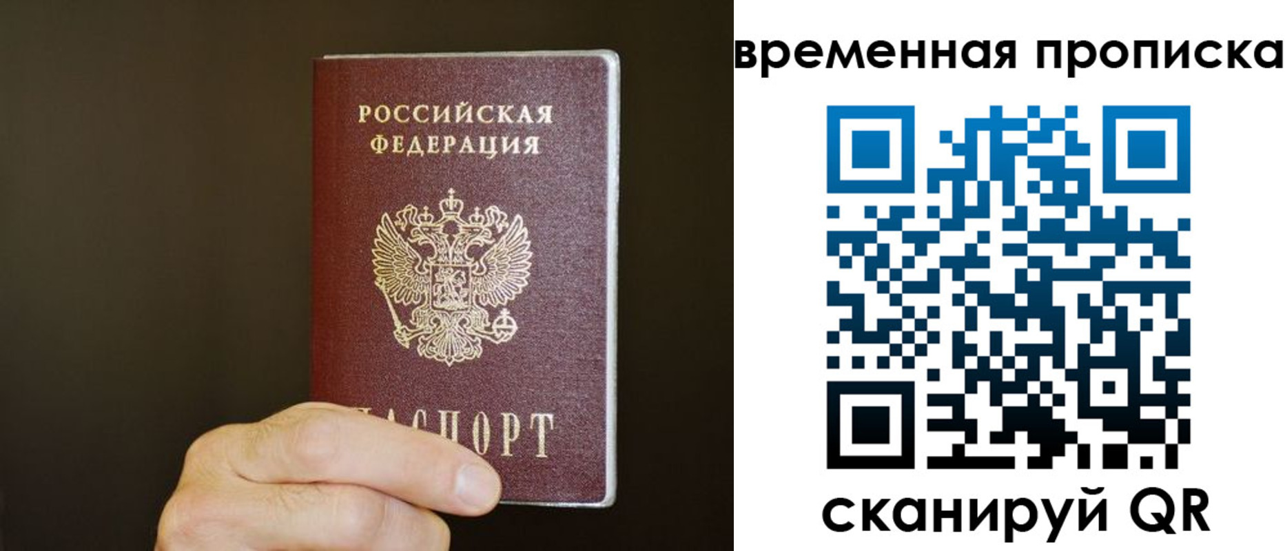 регистрация для школы в Новгородской области